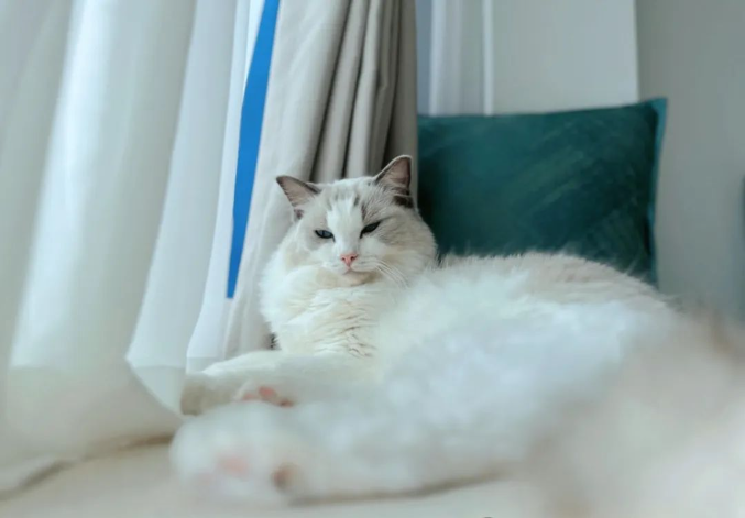 �P��һ��СС���h�����s�����҂���(du��)��������ğo(w��)���㽣�